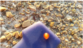 Screenshot_4